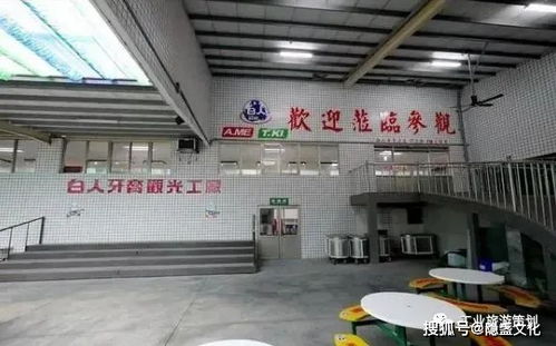牙好，胃口就好——白人牙膏觀光工廠的獨特旅游體驗